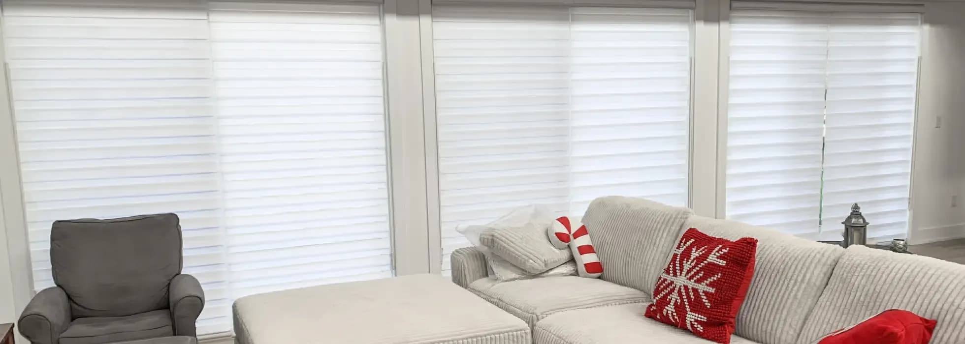 Zebra Blinds